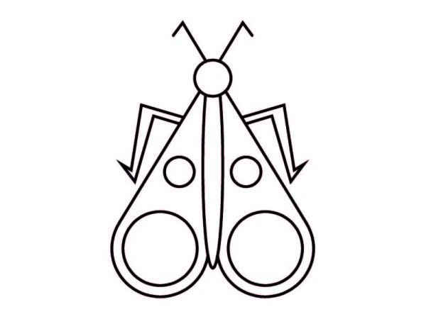 Bug Coloring page BUG BUTTERFLY&nbsp;(CP008)